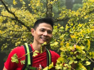 光輝燦爛慶雙十之大石公走到大崙山賞銀杏之旅