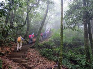 東眼山(小百岳#22)自導式步道