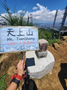 2026微笑山線大縱走尋寶集章任務微笑山線：【天上山系】望月亭桐花段20260816