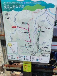 微笑山線：【天上山系】望月亭桐花段