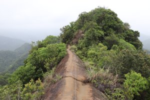 【皇帝殿】北部著名三大攀岩場之一，很熱門但登山入口多，一旦走錯會讓您走到懷疑人生~本文提供最佳完美登山路徑及停車地點，不想走冤枉路，想去非看不可~皇帝殿