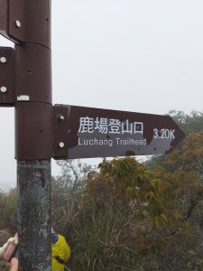 鹿場登山口-加里山-杜鵑嶺-加里山鐵道段P行