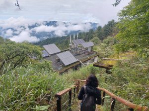 塔山一日遊|夏天就是該來涼涼的地方