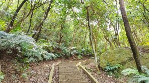 大崙頭尾山親山步道環狀走一回