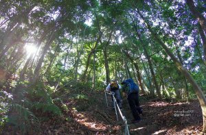 【新竹】北埔五指山麓暖身行--觀音寺-金龜岩-猴洞一線天-五指山橫向-仙洞步道-灶君堂串走