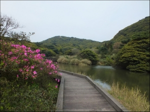 【台北市】大屯自然公園