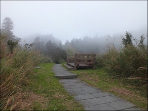 【新北市】雲霧秋芒五分山