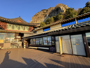 2025 D0119 山房窟寺 + 山茶花之丘 + 梨湖紅白馬燈塔+亂打秀