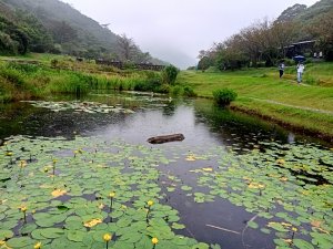 【臺北大縱走1+2】二子坪→面天山→向天山→向天池→清天宮
