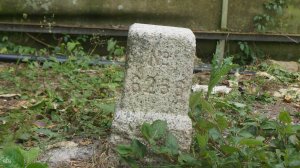 攀登塔曼山，下山後不要忘了來「埤谷山」三角點朝聖