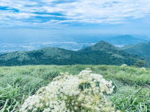 20260524 大屯主峰步道（大屯山北峰、民航局基石、觀景台）
