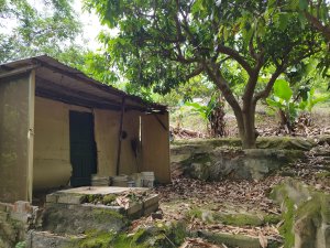 [高雄燕巢][二]坑口山、養女湖山(千秋寮)、角秀(湖子內山)、中坑(深水國小)