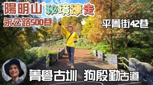 重新開放，陽明山永公路500巷落羽松秘境，仙氣飄飄，季節限定，要去要快。連走清靜幽美的菁礐溪溪畔步道、菁礐古圳步道、陽明山櫻花季第一波盛開的平菁街42巷、狗殷勤古道。