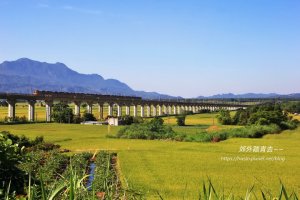 【台東】月美車站月野村：關山月眉自行車道~~