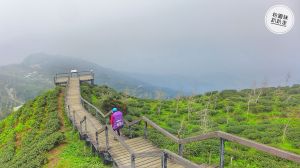 水桶寮林道連登樟空倫山、貓冬望山