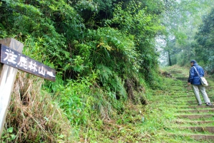 【南投】鹿林山與塔塔加鞍部