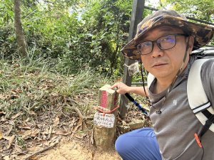 龍過脈森林步道