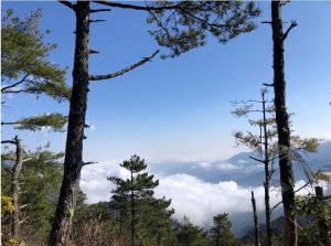 中級山-羅馬縱走-羅葉尾山到馬武佐野郡山:朝百岳群峰、奔放奇幻神木，單日行程包重7KG! 怎麼輕量化?