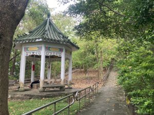 在大同山步道，我看見「頸椎影響膝蓋」的一課