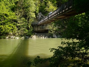 [美國行-03] 2026_0510 火雞跑步州立公園-吊橋