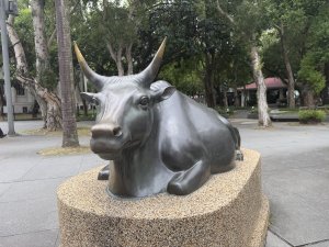 [2026臺北健走趣-10/50] 2026_0808_二二八公園