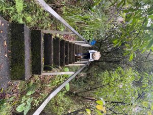 三林一后一紙及武山煤礦文化遺址8字行