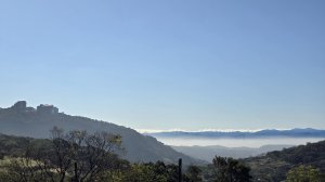 2025陽明山櫻花季，櫻花大爆發，最美的賞櫻步道，風尾步道、十八份頂圳步道、東昇步道、陽明公園