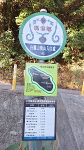 20251213白賓山走白賓名樹