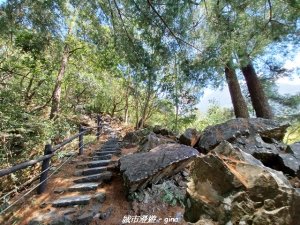 【台中和平】山林靜謐時光。 捎來步道