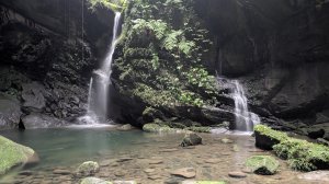 115.04.12金平山西峰-蝙蝠洞之旅