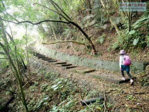 【新北市】嶺頭觀日步道