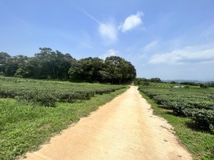 火慈三縱走(火炎山、慈濟山、三義山)台鐵火車、839公車O形縱走