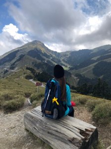 合歡山五座百岳賞杜鵑花