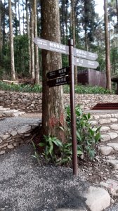 2021-05-07（五）再次造訪封園12年的藤枝森林遊樂區