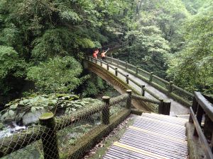 三峽熊空 組合山-滿月園山-滿月圓森林遊樂區