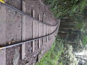 特富野古道一日遊