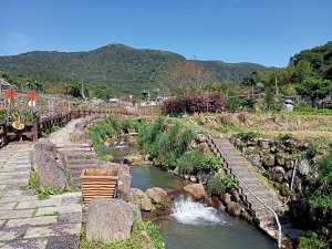 陽明山公車總站→七星山苗圃登山口→水車寮步道→頂湖→竹子湖逍遙遊