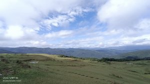 桃源谷步道，大里遊客中心走起看牛去(大里遊客中心走到大溪火車站)