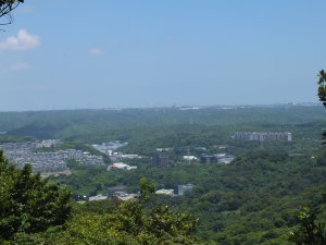 鶯歌區石灰坑山+望洋山+圳頭山+福源山+圳頭山步道+妙音步道南線