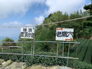 隙頂雲頂步道