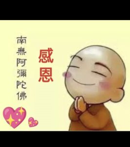 陳淑華的頭像