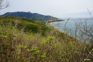 【屏東】坪埔厝山、獅子頭山、上楓港山、善餘、頂楓港山