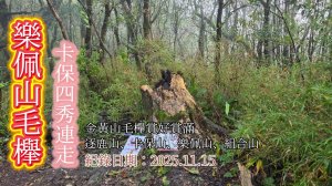 「樂佩山毛櫸」,「卡保四秀」連走,三峽近郊中級山最佳挑戰路線,百岳練習場,逐鹿山、卡保山、樂佩山、組合山(熊空南山),金黃色山毛櫸賞好賞滿