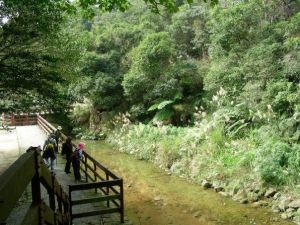 鯉魚山親山步道