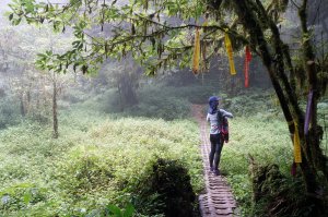 嶺頭山、金柑樹山