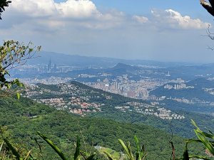 2025-019：安坑七山O型縱走順遊獅仔頭山步道