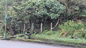 20251124綠峰山莊到天籟-大孔尾步道-南勢湖步道