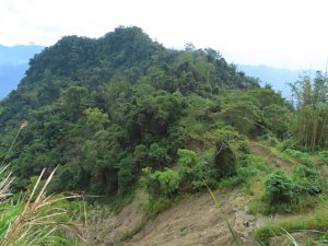 竹子尖山東峰 走 竹子尖山