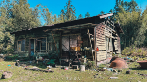 到了一個讓心靜下來的地方-白雪村【登山的人】