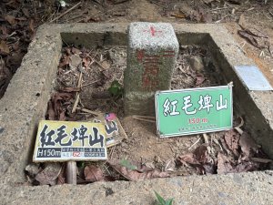 20251024蘭潭後山步道、紅毛埤山、山子頂山